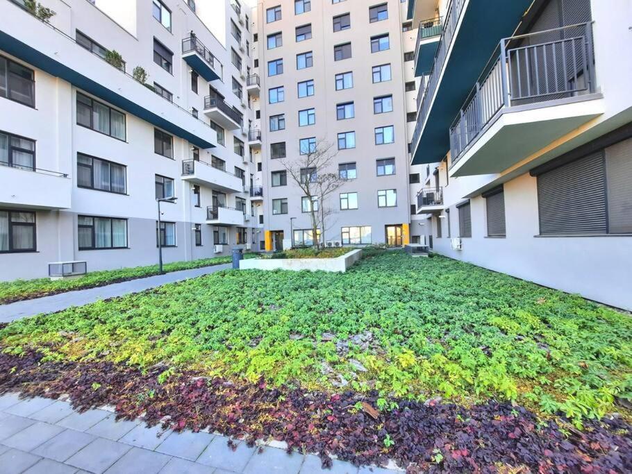 Beautiful Panoramic Central Apartment - City Of Mara Timişoara Buitenkant foto