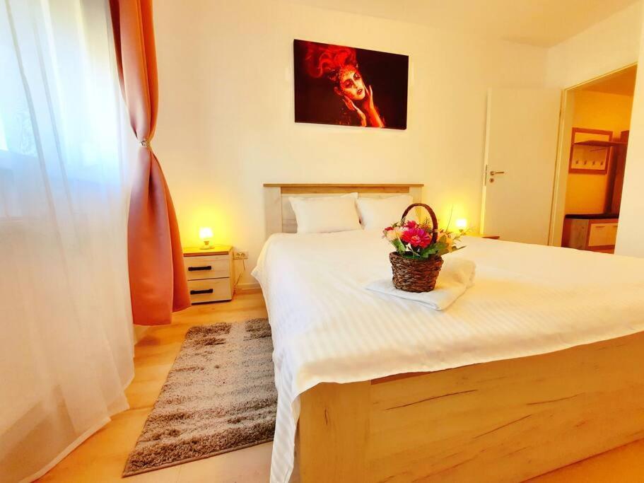 Beautiful Panoramic Central Apartment - City Of Mara Timişoara Buitenkant foto