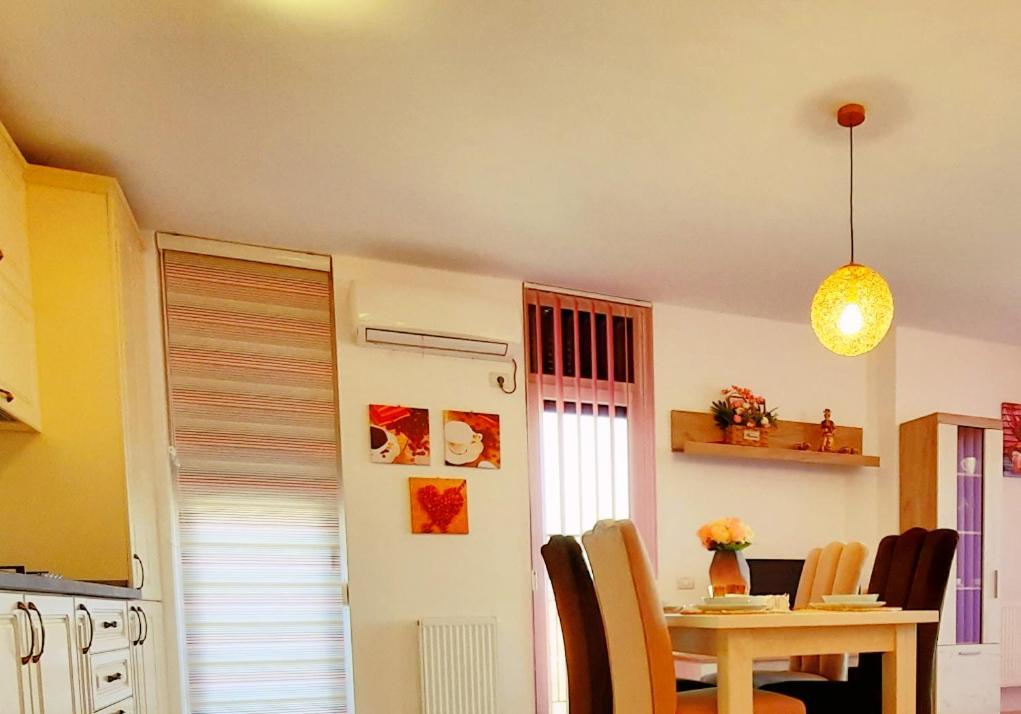 Beautiful Panoramic Central Apartment - City Of Mara Timişoara Buitenkant foto